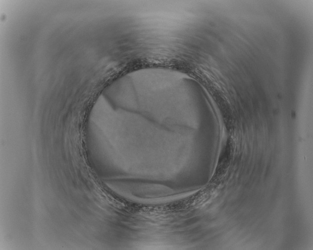 X0000088390817200706121207