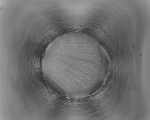 X0000088390818200706121207