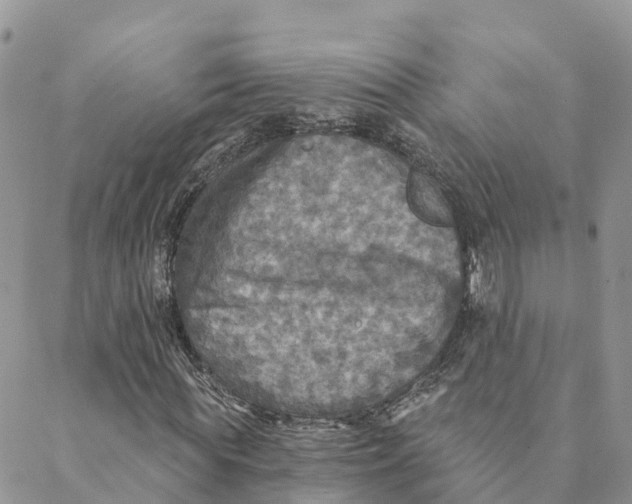 X0000088390819200706121207