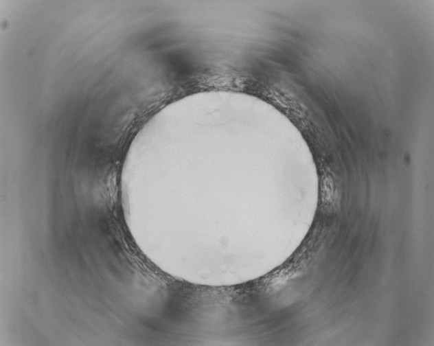 X0000088390820200706121207