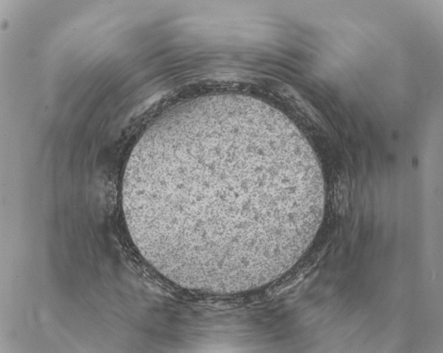 X0000088390821200706121207