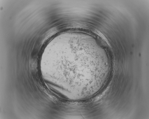 X0000088390826200706121208