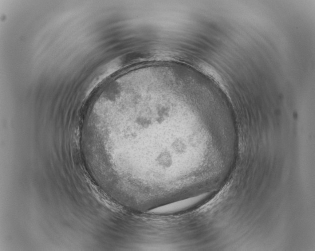 X0000088390827200706121208