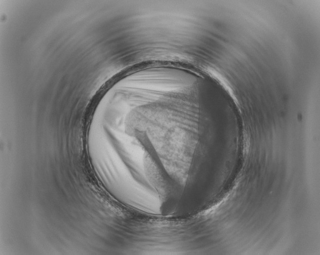 X0000088390829200706121208