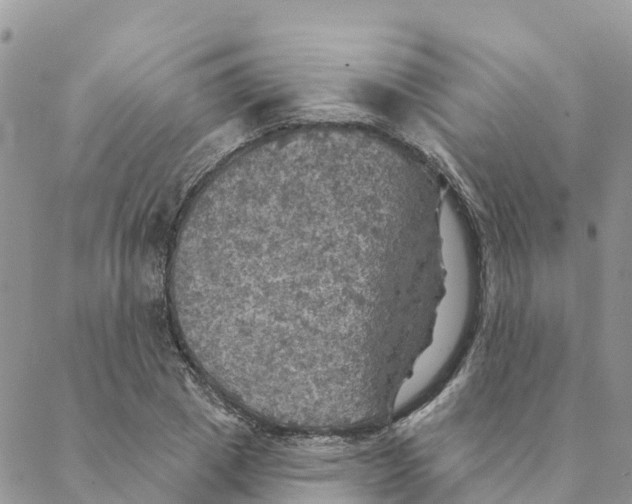 X0000088390833200706121208