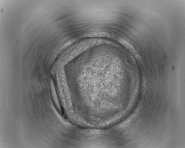 X0000088390841200706121208