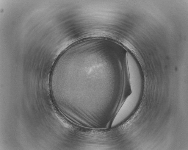 X0000088390842200706121208