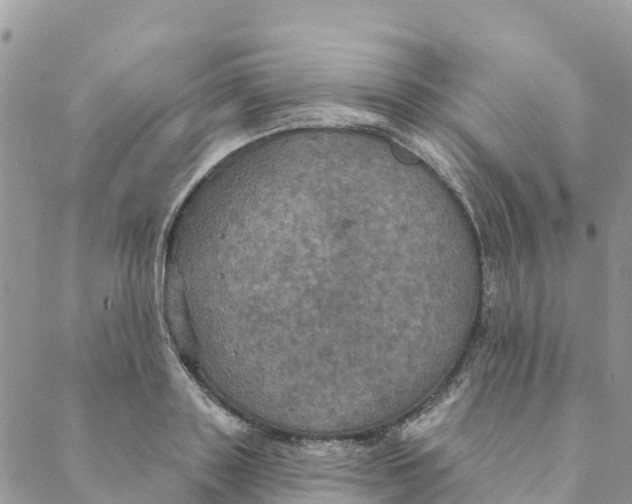 X0000088390843200706121208