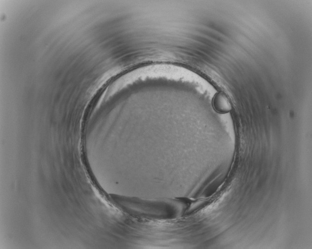 X0000088390845200706121208