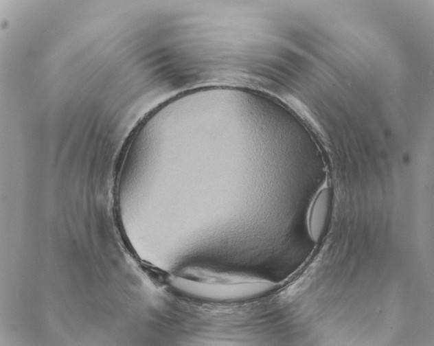 X0000088390846200706121208