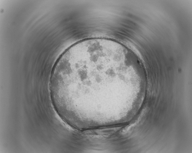 X0000088390847200706121208