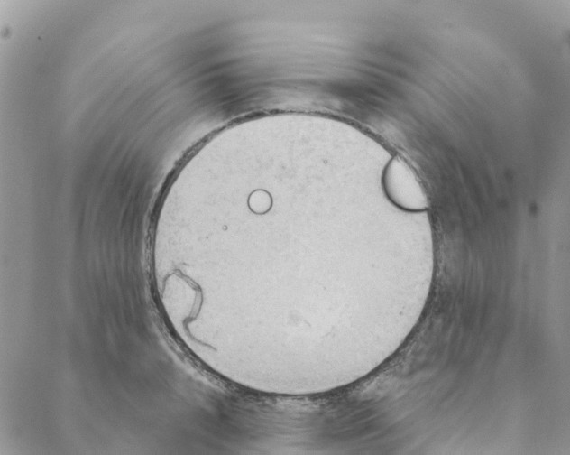 X0000088390848200706121208