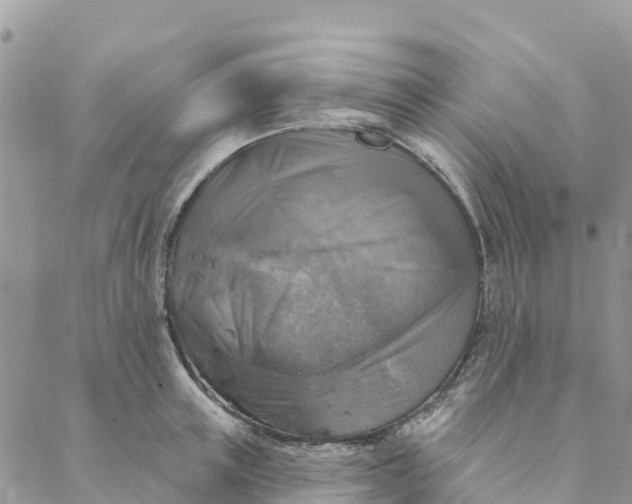 X0000088390851200706121208