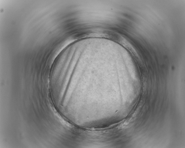 X0000088390852200706121208