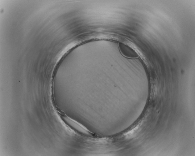 X0000088390853200706121208