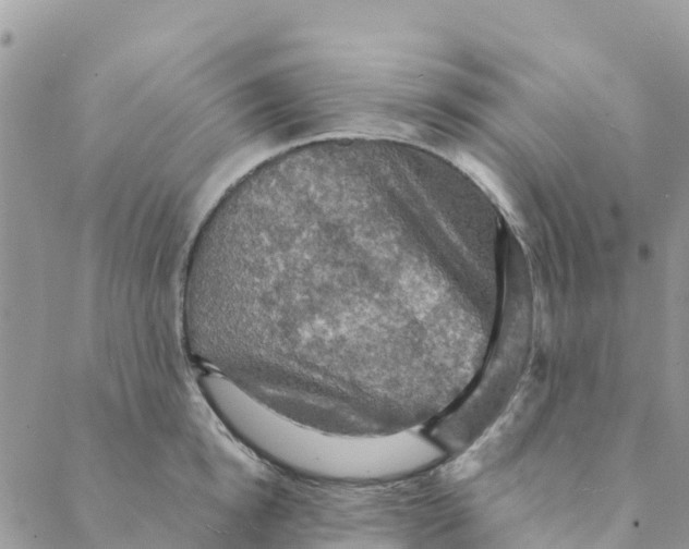 X0000088390854200706121208