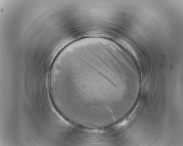 X0000088390855200706121208