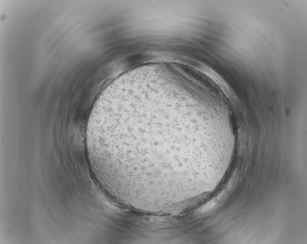 X0000088390857200706121208