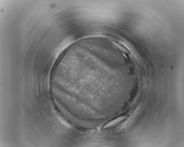 X0000088390858200706121208