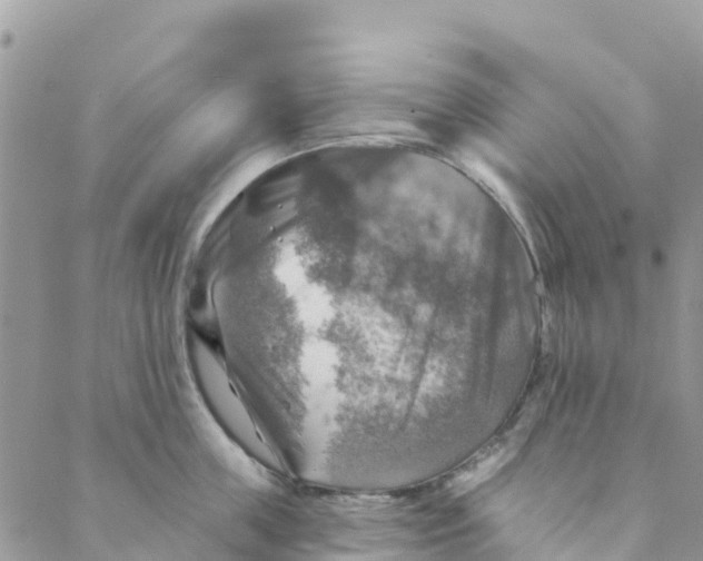 X0000088390859200706121208