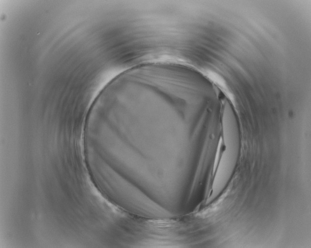 X0000088390863200706121208