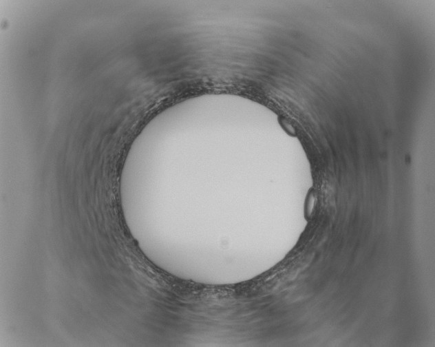 X0000088390865200706121207