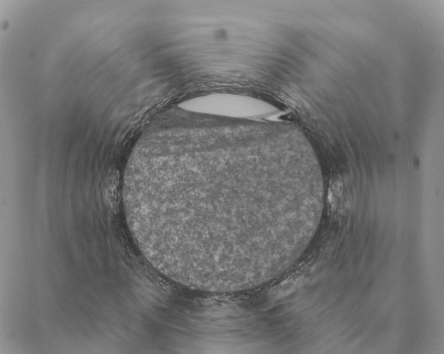 X0000088390867200706121207