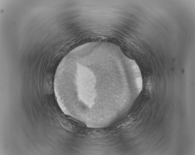 X0000088390868200706121207