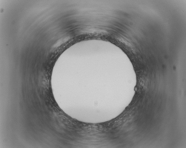 X0000088390869200706121207