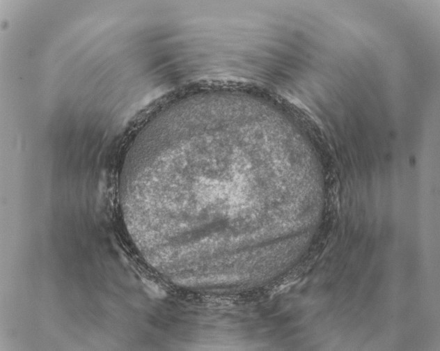 X0000088390870200706121207