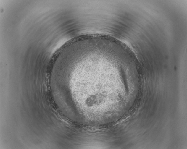 X0000088390871200706121207