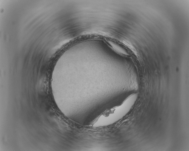 X0000088390872200706121207