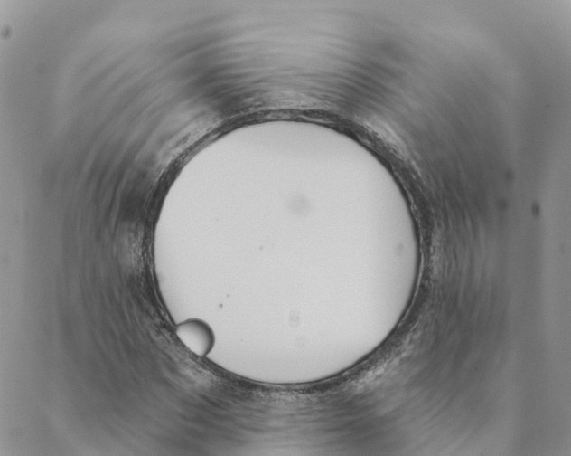 X0000088390873200706121207