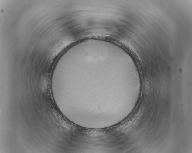 X0000088390874200706121207