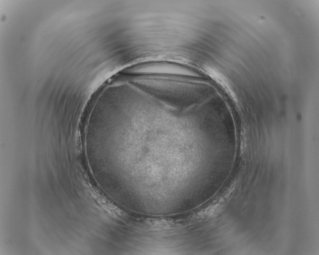 X0000088390876200706121207