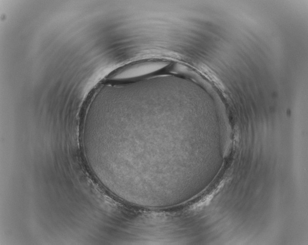 X0000088390877200706121207