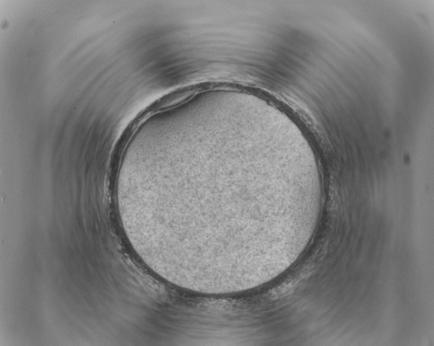 X0000088390880200706121207