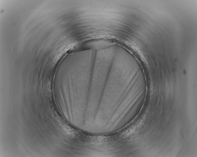 X0000088390881200706121207