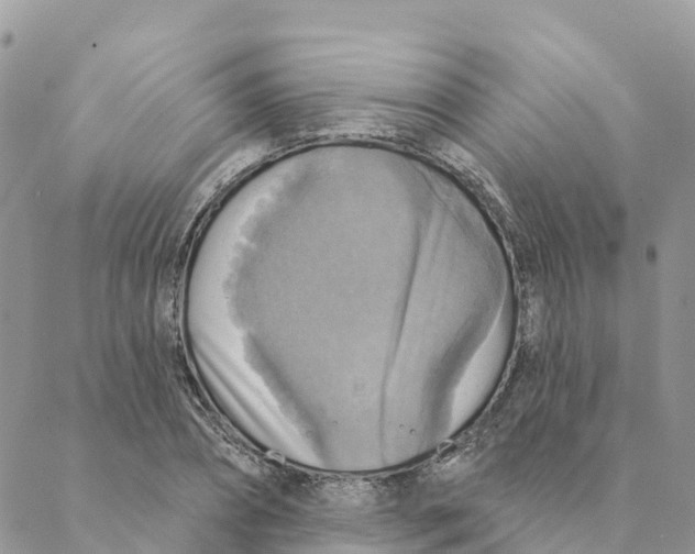 X0000088390882200706121207