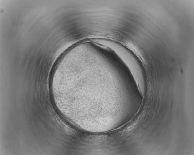 X0000088390884200706121207