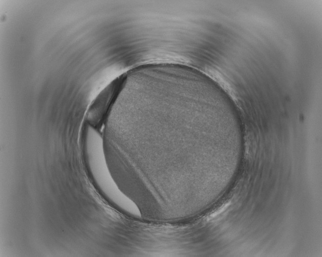 X0000088390885200706121207