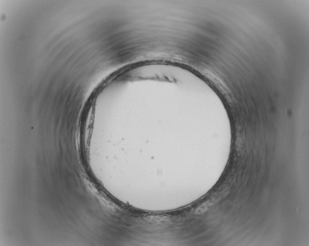 X0000088390888200706121207