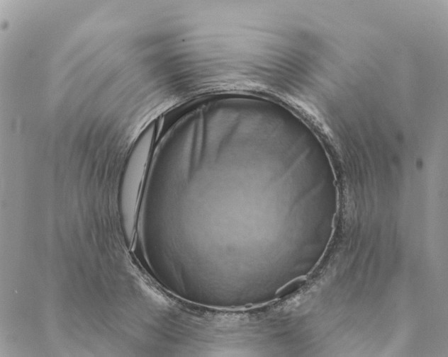 X0000088390889200706121207