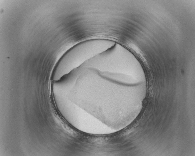 X0000088390892200706121207