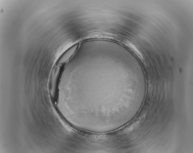 X0000088390893200706121207