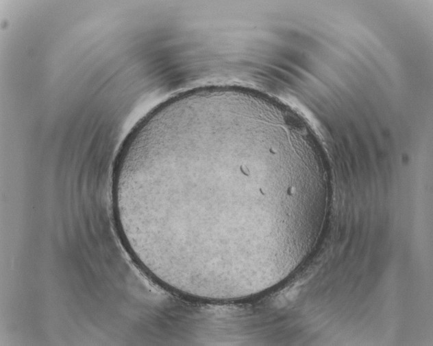 X0000088390894200706121207