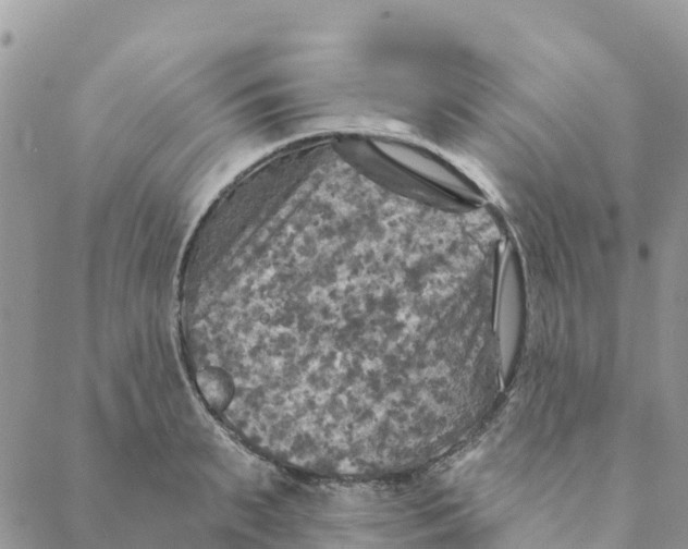 X0000088390895200706121207