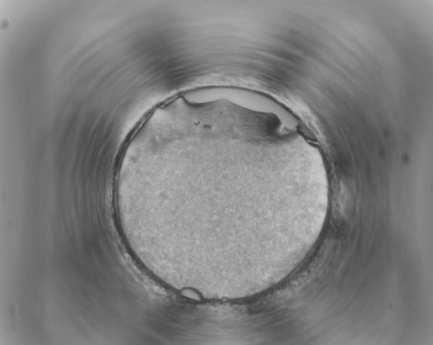 X0000088390896200706121207