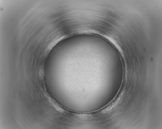 X0000088390897200706121207