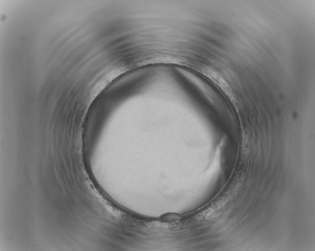 X0000088390898200706121207